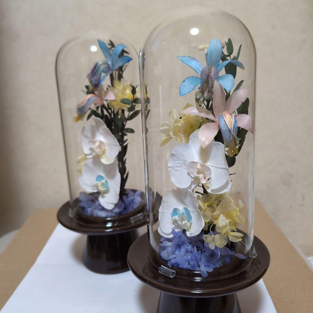 特選仏花　 大　一対 ガラスドーム 胡蝶蘭　カトレア プリザーブドフラワー