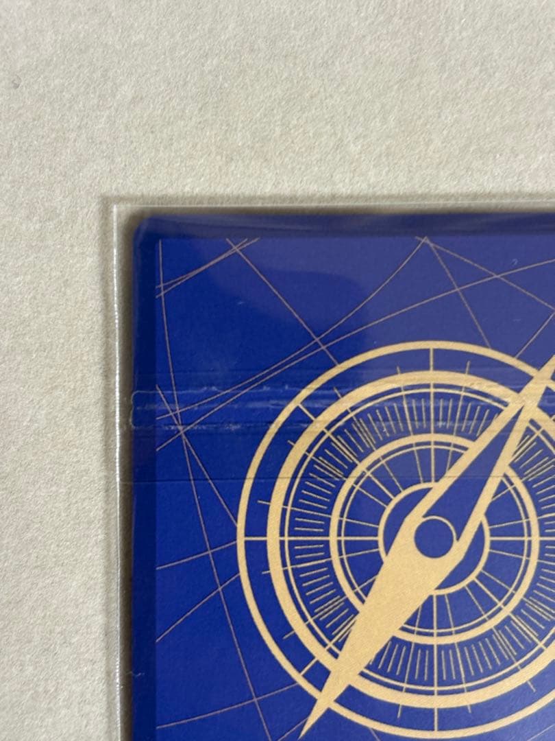 ボニー　フラッグシップ　フラシ