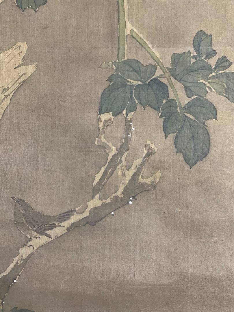 宋紫石 寒牡丹図 絹本 肉筆 掛軸 北洲極箱 長崎派 中国画 江戸中期