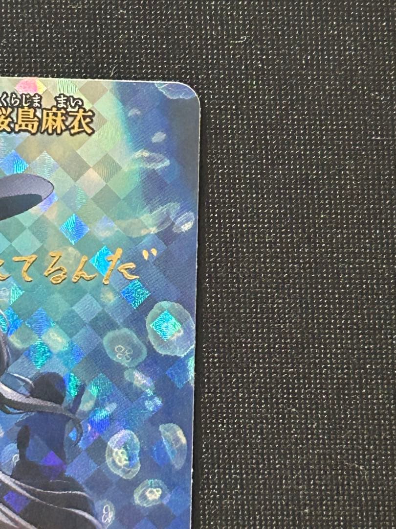 シュレディンガーの兎 桜島麻衣 br ビルディバイド青ブタ - メルカリ