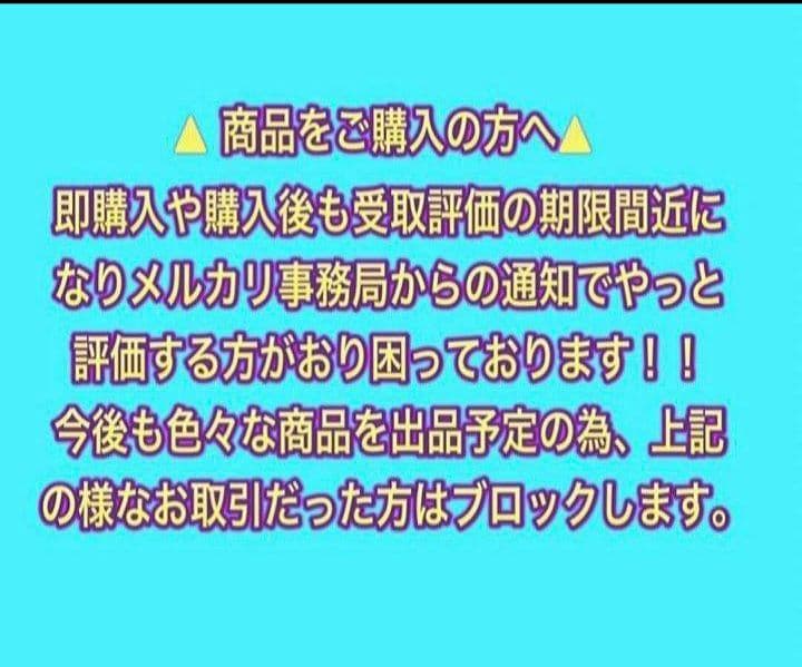 ザ・ビスキャッツ 青野美沙稀【A4サイズ写真ポスターフレーム付き３点セット】