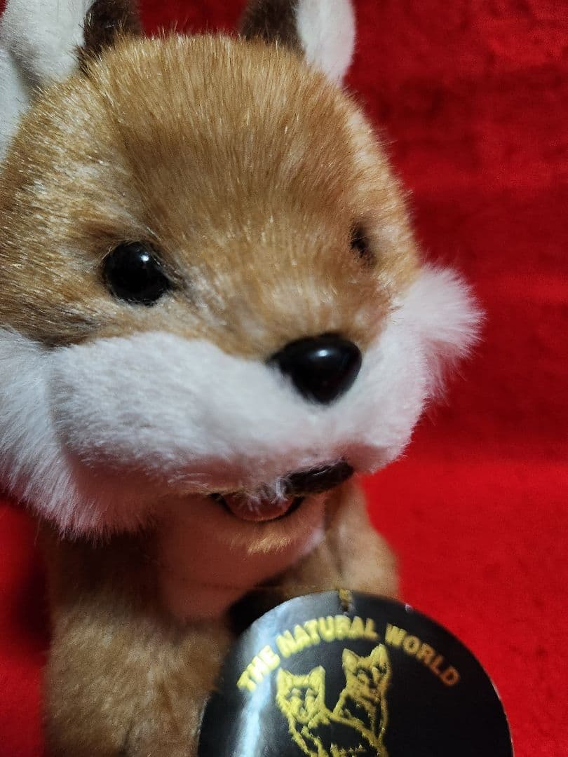 北海道　キツネ　ぬいぐるみ　マスコット