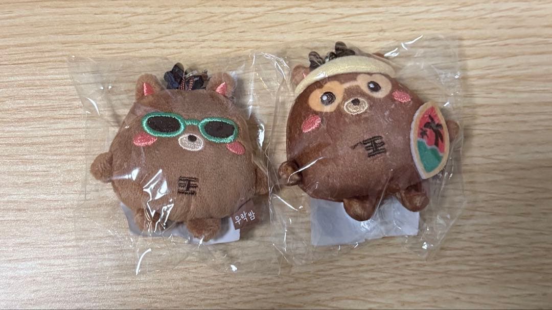 ソンチャン ウラッバム RIIZE ソウルコン ミニドールキーリング セット