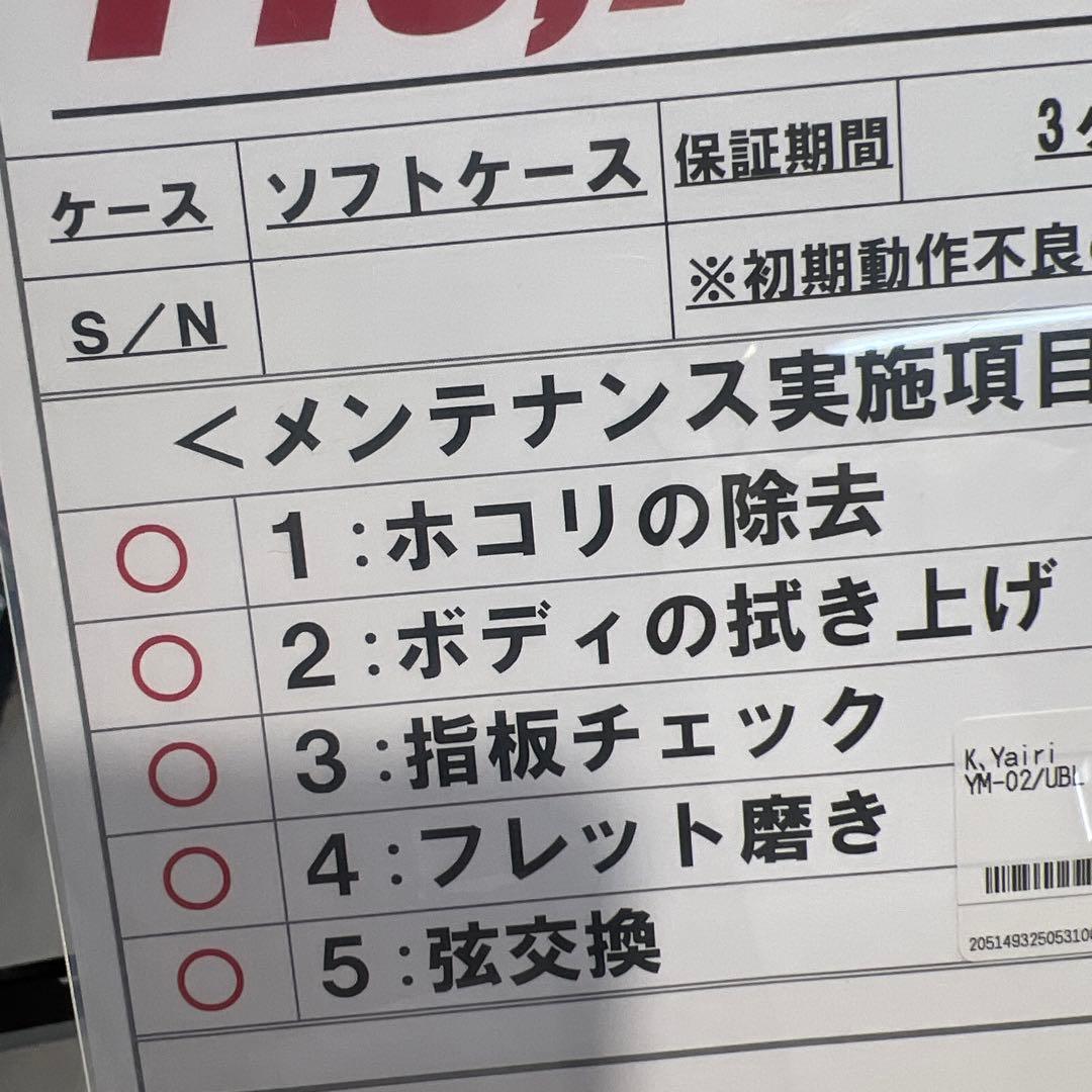 S.yaire YM-02/UBLアコースティックギター ブルー