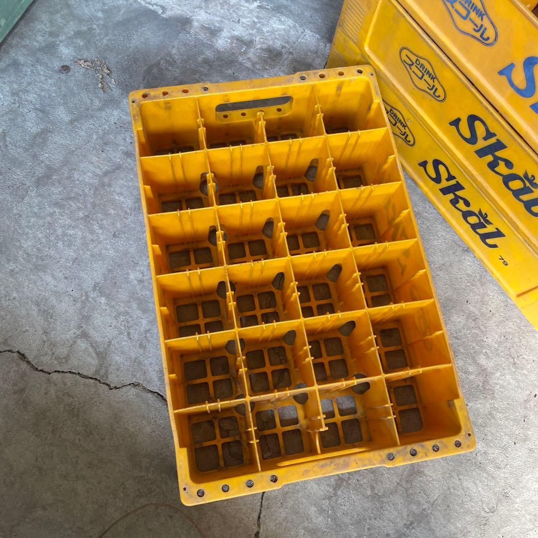 スコール　コンテナ　昭和レトロポップ　当時物　便ケース　skål