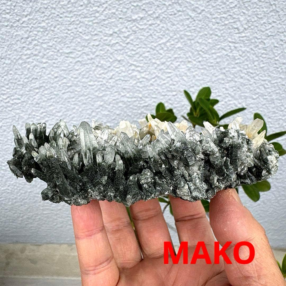 M1815☆ヒマラヤ水晶クラスター316g☆ガネッシュヒマール☆N5087-D