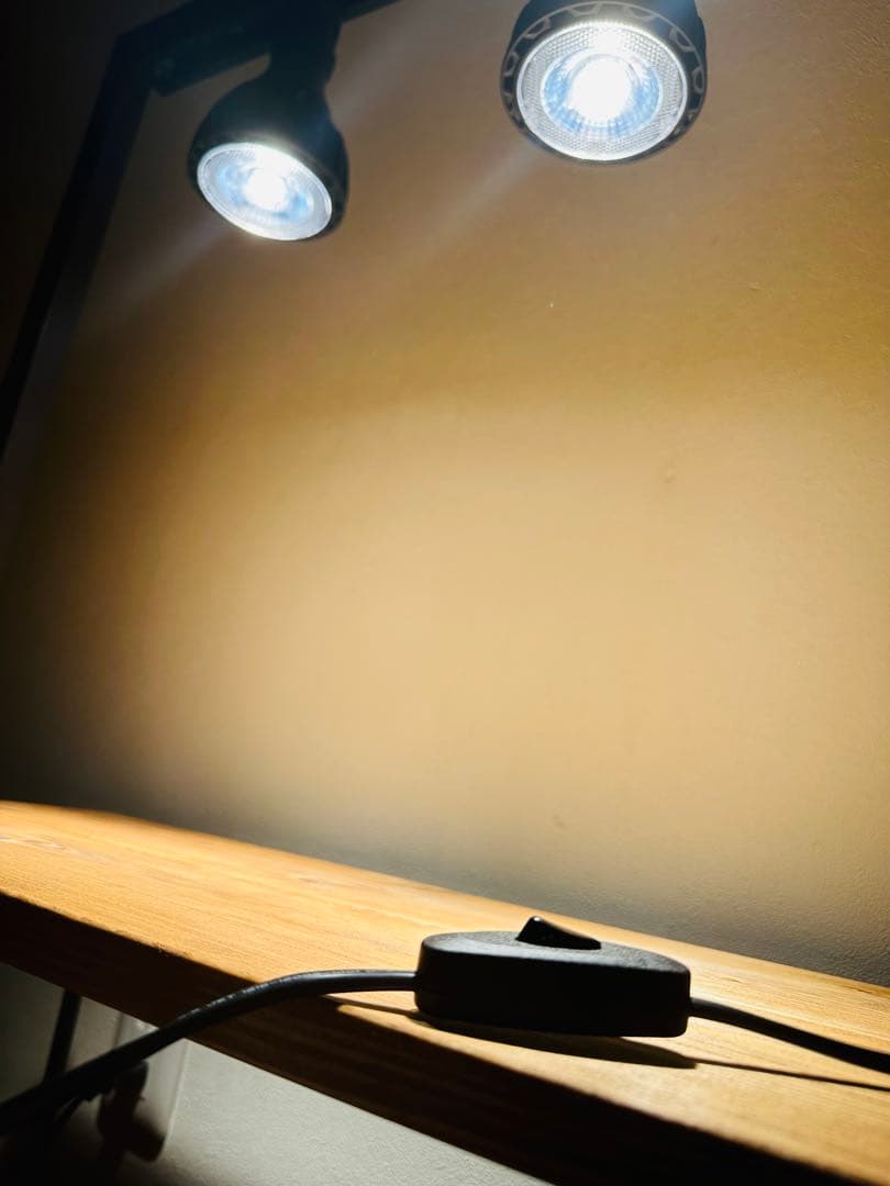 ダクトレール付　植物棚　塊根植物　多肉植物　ボタニカルシェルフ　アイアンシェルフ