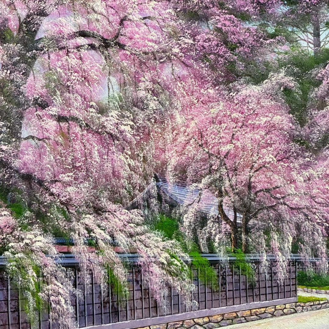 美品 寺井孝「角館の桜」キャンバスに油彩 10号 彩波会 二科展 枝垂れ桜 名品