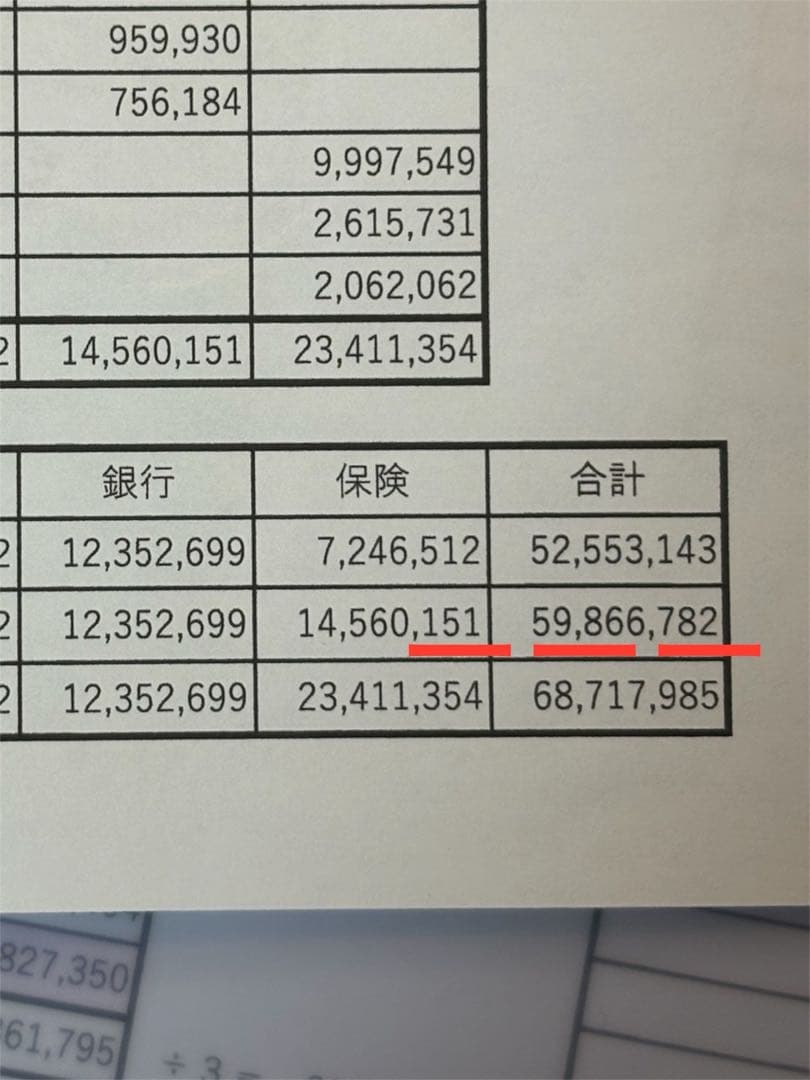 プレミアム酵素茶漬け