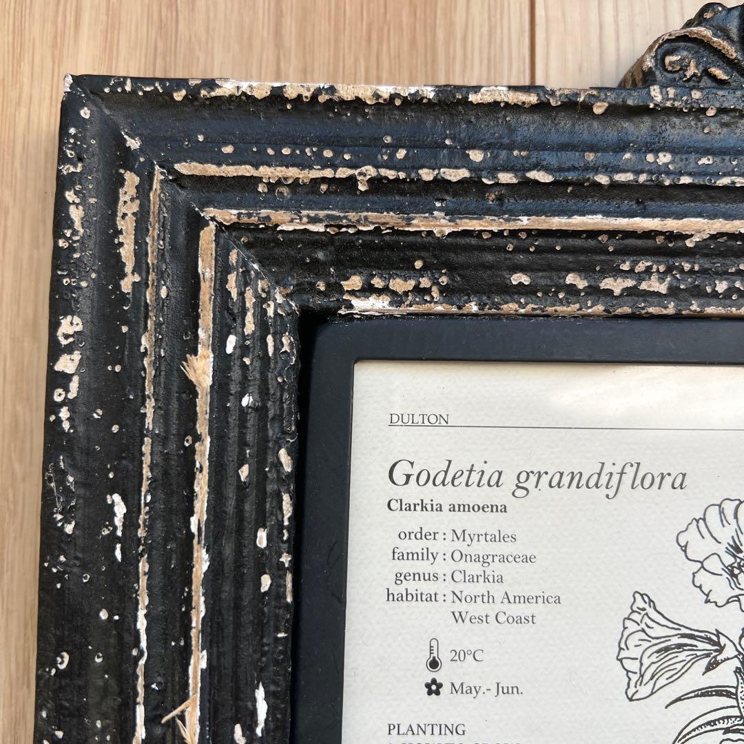 ダルトン　アンティーク調フォトフレーム　6インワン