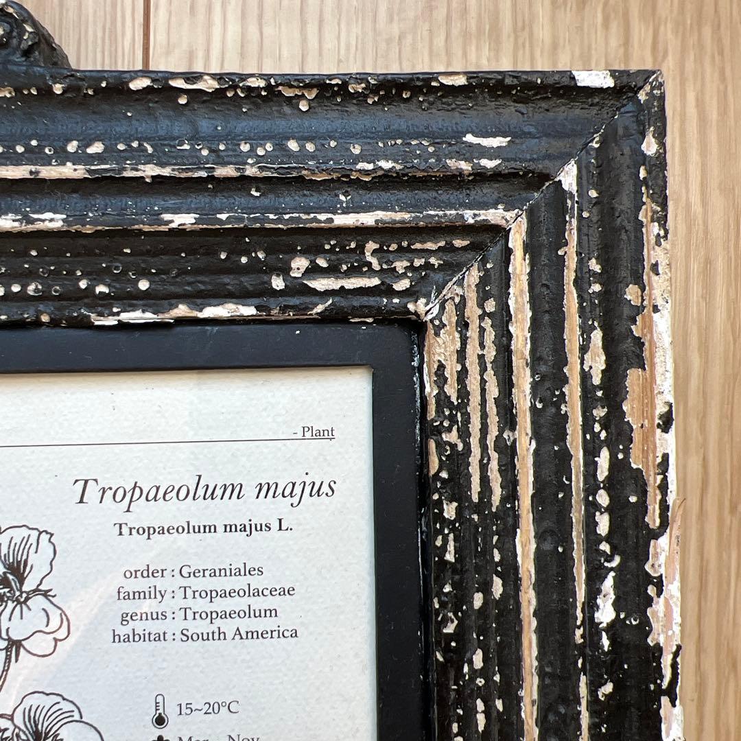 ダルトン　アンティーク調フォトフレーム　6インワン