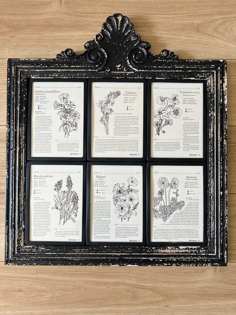 ダルトン　アンティーク調フォトフレーム　6インワン