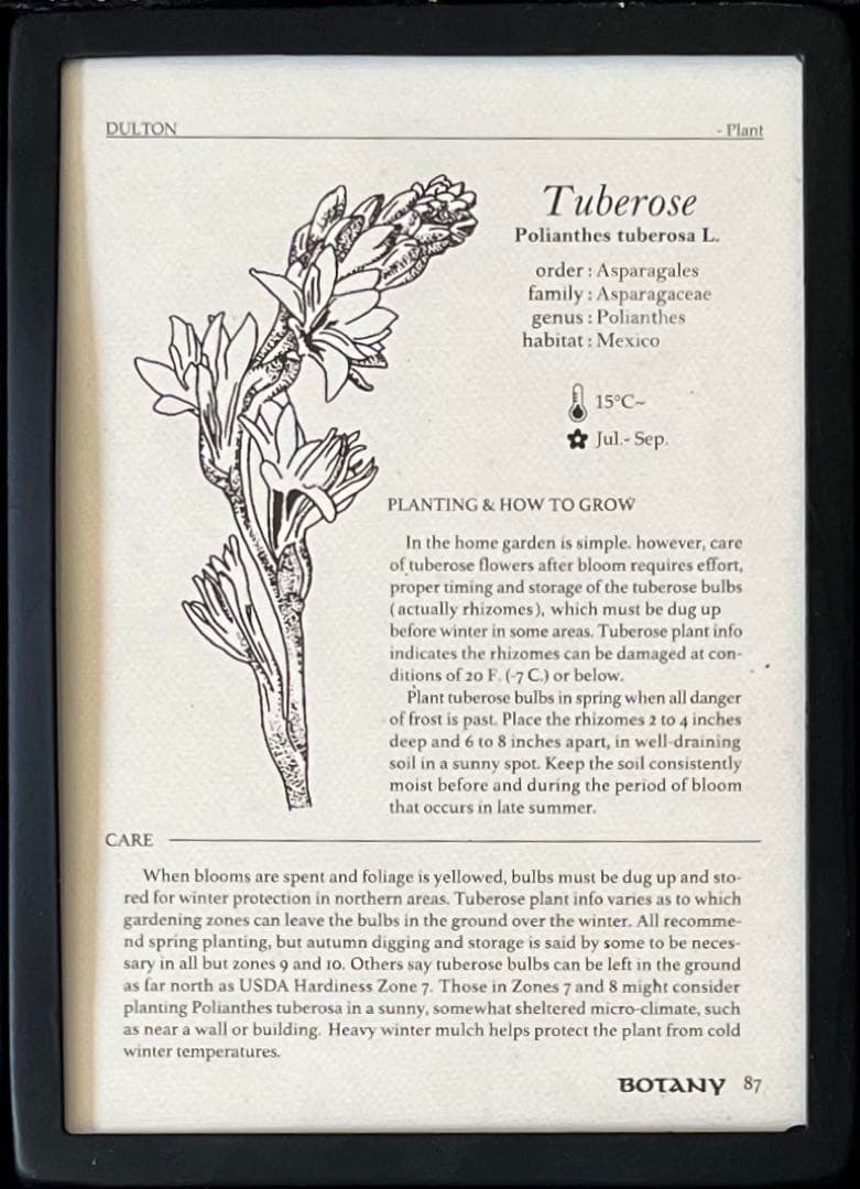 ダルトン　アンティーク調フォトフレーム　6インワン