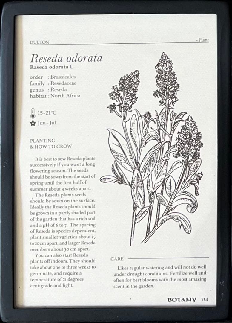 ダルトン　アンティーク調フォトフレーム　6インワン