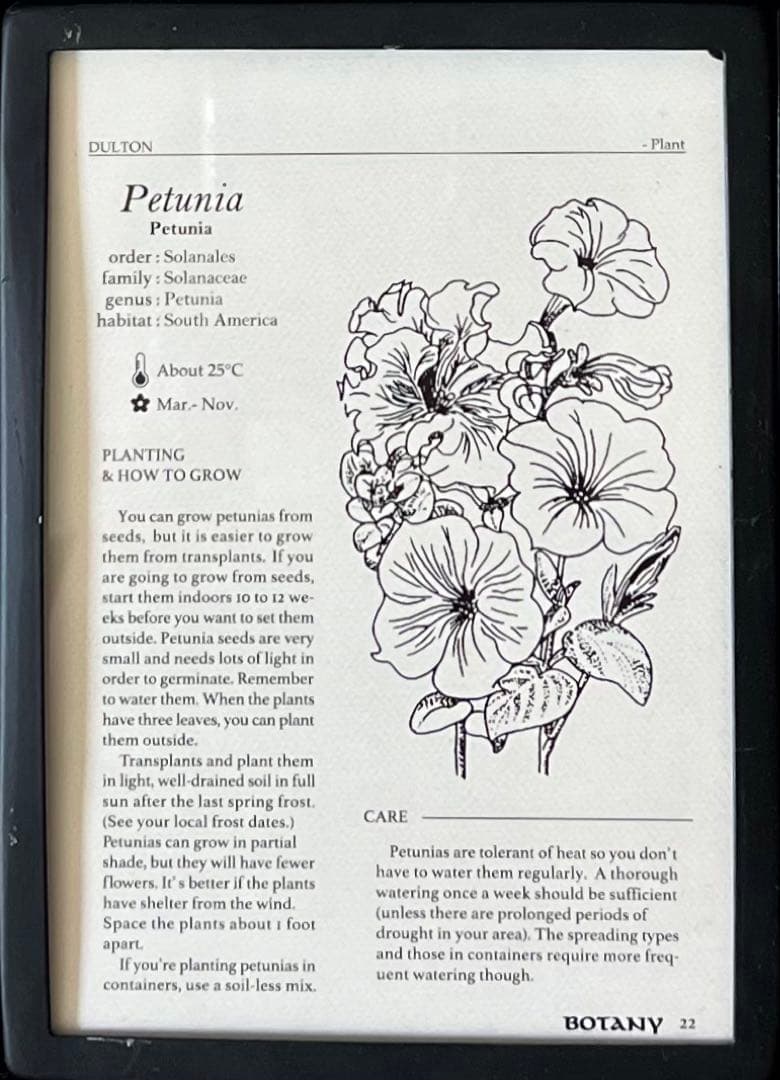 ダルトン　アンティーク調フォトフレーム　6インワン