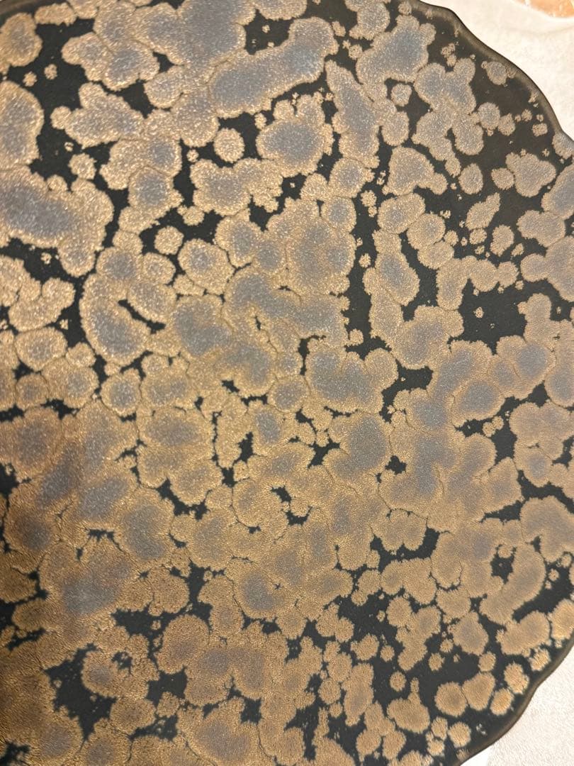 有田焼　中目黒Migratory 購入　新品プレート　大　23.3cm 長径