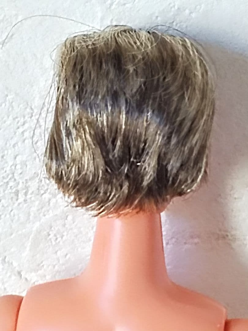 ❤超希少新品❤リカちゃんキャッスル　髭植毛ジェニーフレンドレイフ　ボーイフレンド