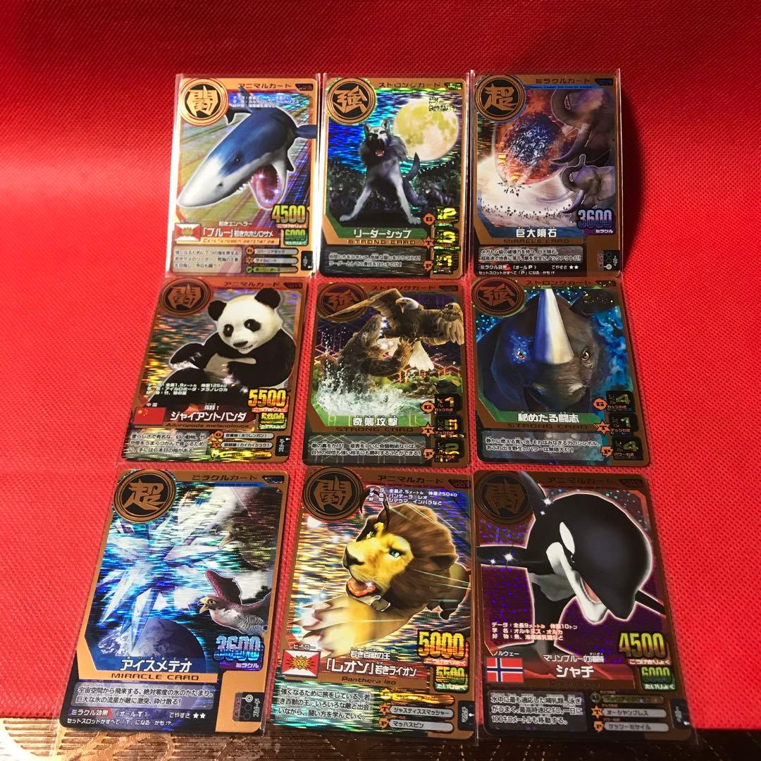 カード祭り アニマルカイザー9枚セット - メルカリ