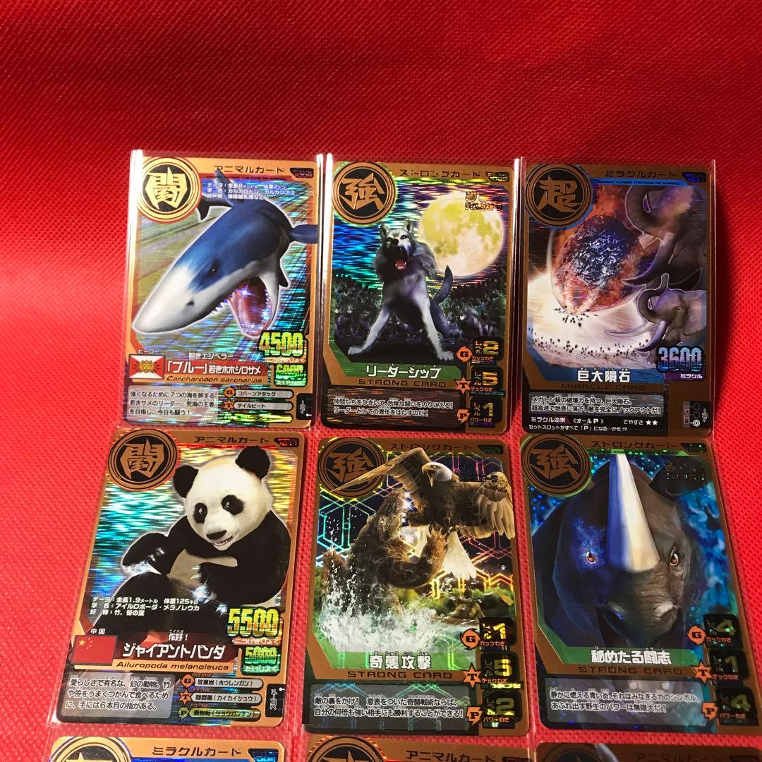 カード祭り アニマルカイザー9枚セット - メルカリ