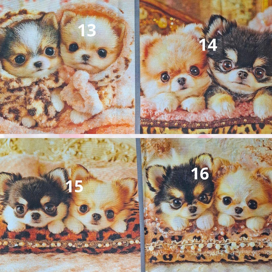 あゆちょハンドメイド用リクエストパネル♥️オーダー用パネル♥️チワワ