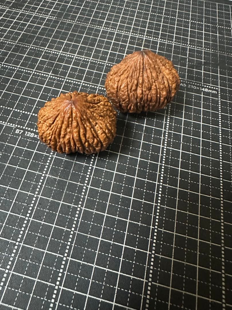ハンドウォールナット 核桃