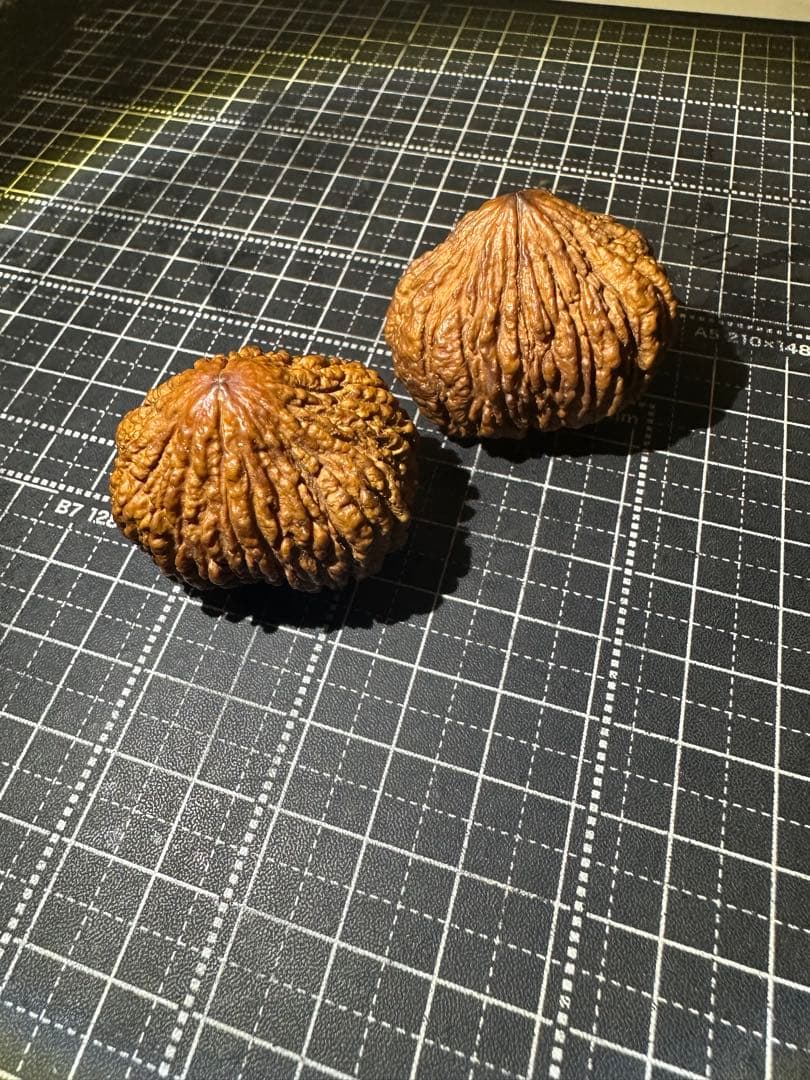 ハンドウォールナット 核桃