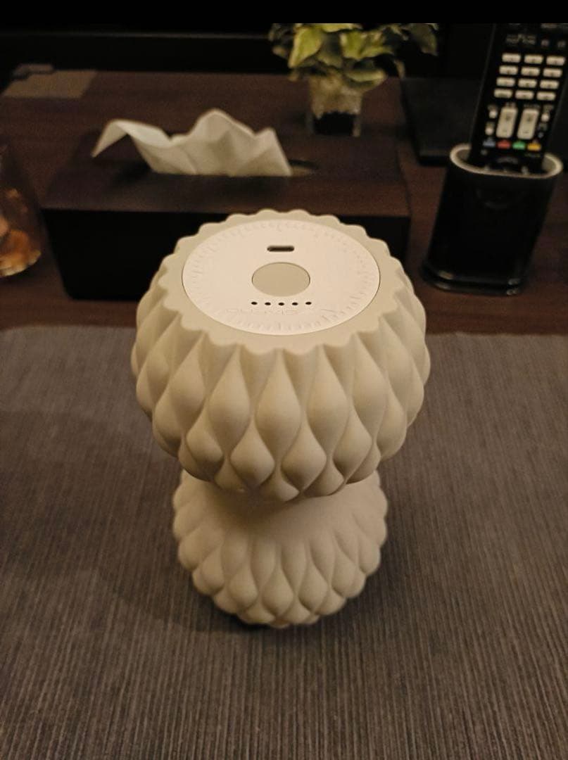 SIXPAD Power Roller Twins 美品　シックスパッド