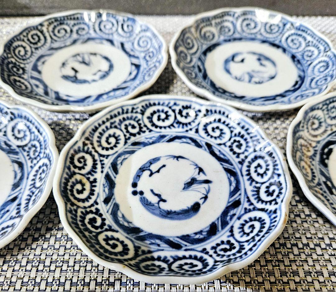 江戸時代後期　古伊万里　染付　たこ唐草 文様　輪花縁　小皿　5客　径10.1cm