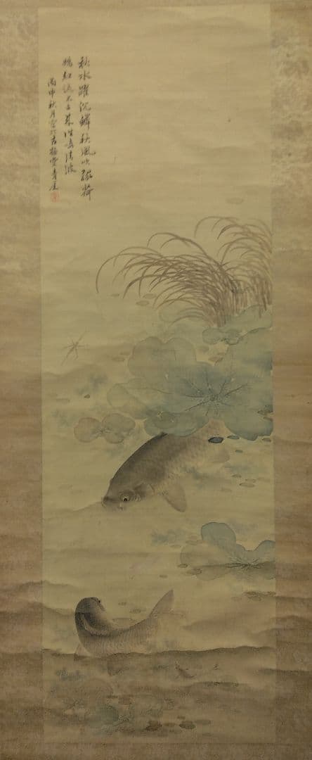 櫻間青厓【遊鯉之図】絹本 掛軸（杉原夷山／清水退軒） - メルカリ