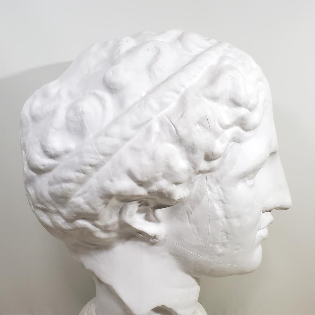 ☆ ラボルト 石膏像 ☆パルテノン首像☆助川石膏 SUKEGAWA-TOKYO