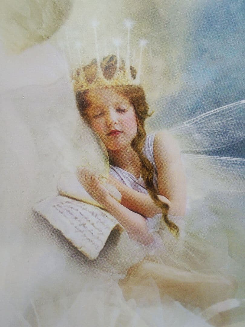 妖精　フォトグラフ　額付き