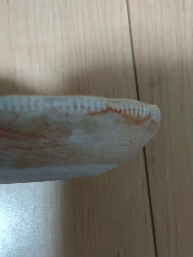 鹿児島睦　小皿　ハンドワーク　３枚セット　おまけつき