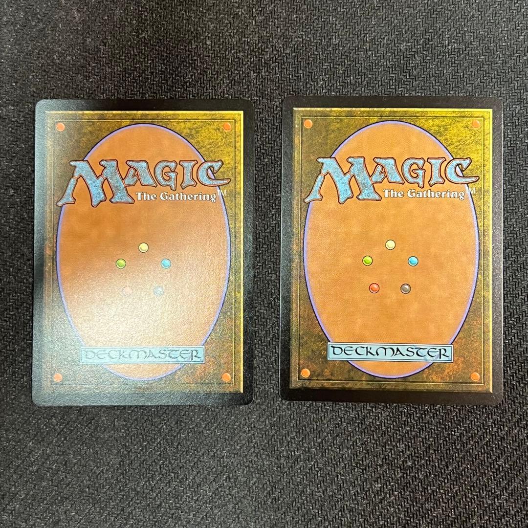 MTG 豊かな在郷/Abundant Countryside英語版 2枚セット - メルカリ