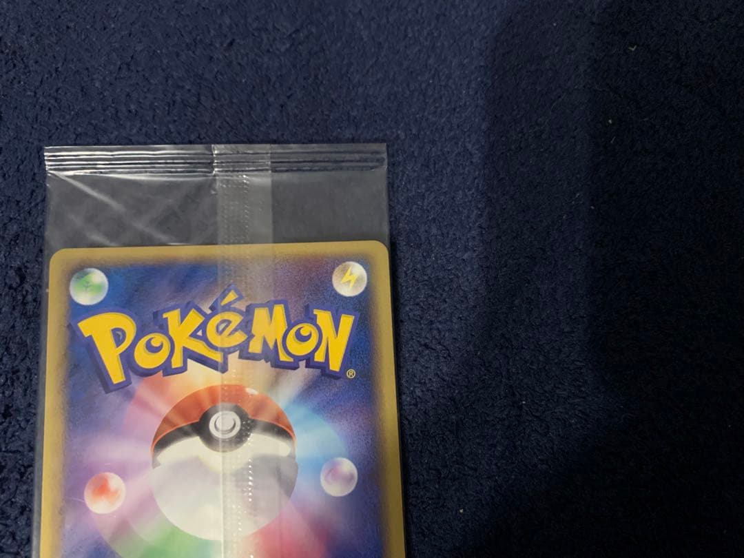 ポケパーク グラードン プロモ 042/PCG-P ポケモンカード 未開封