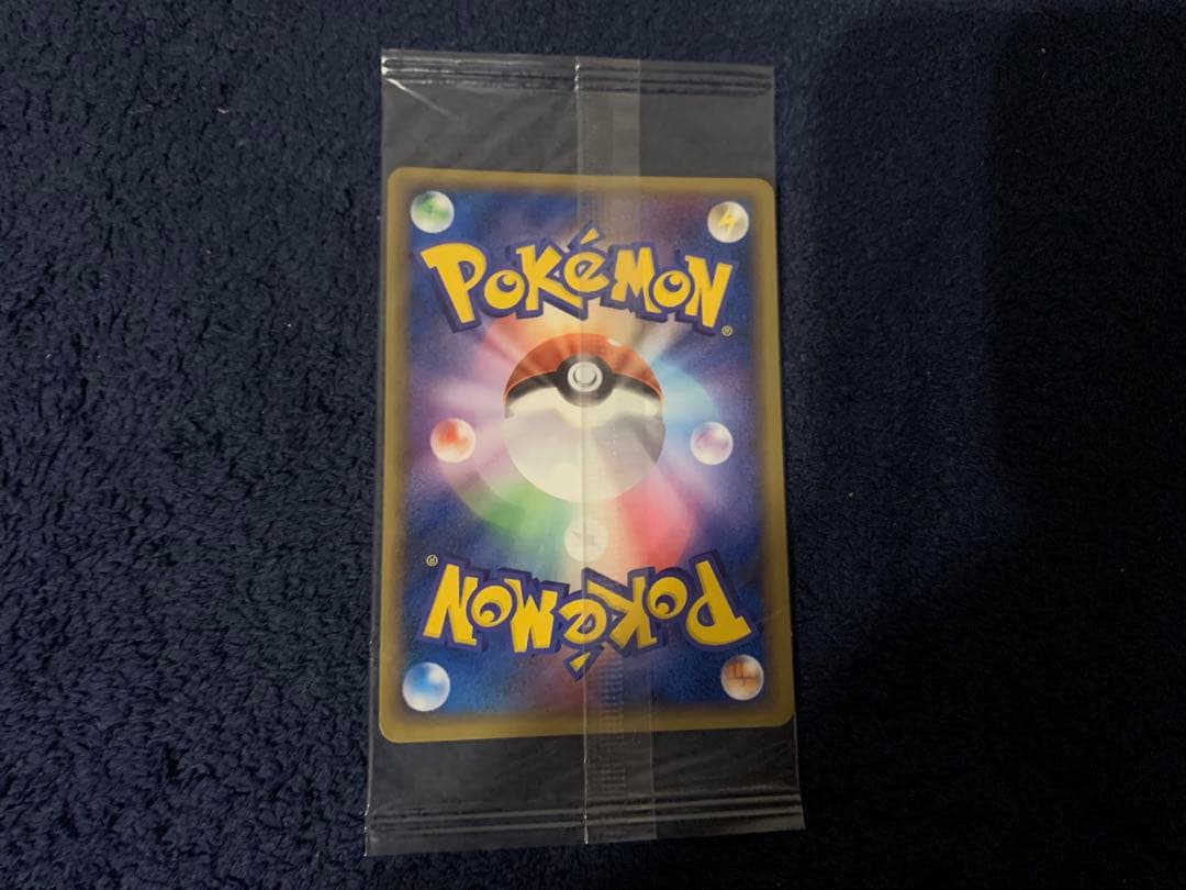 ポケパーク グラードン プロモ 042/PCG-P ポケモンカード 未開封