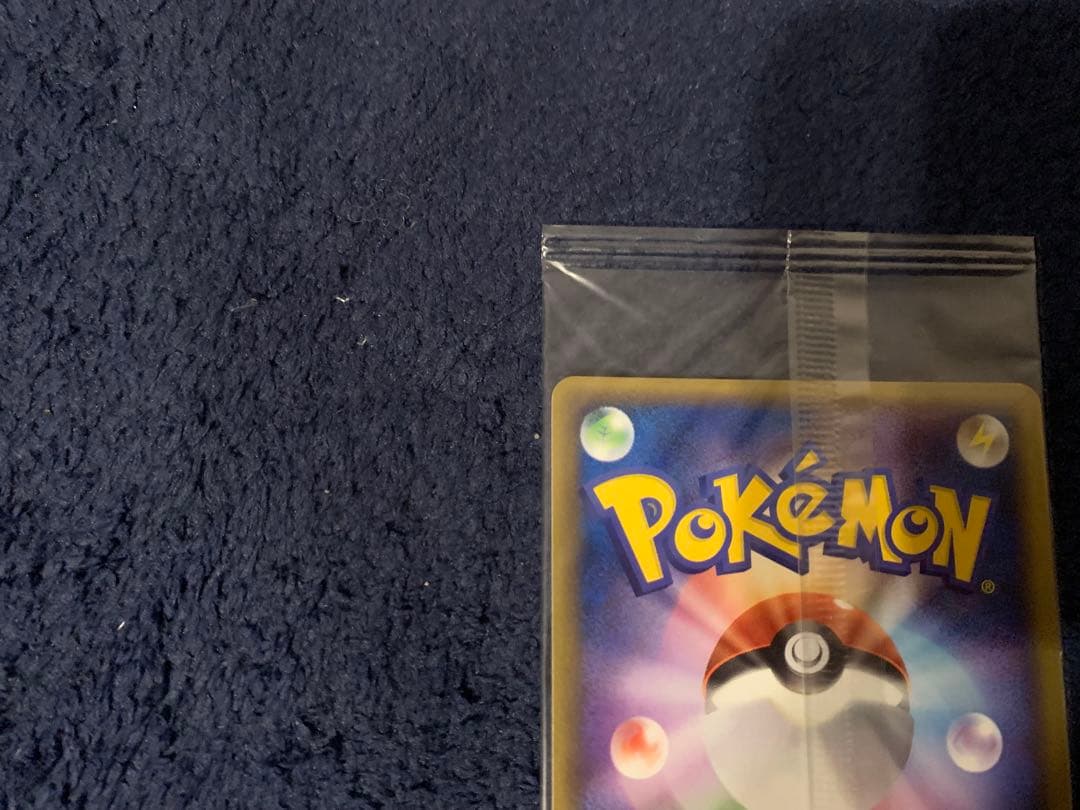 ポケパーク グラードン プロモ 042/PCG-P ポケモンカード 未開封