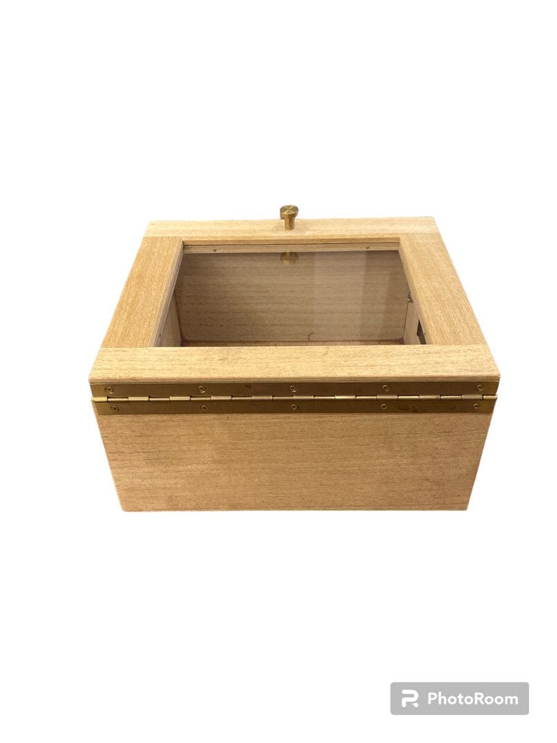 桐のショーケース