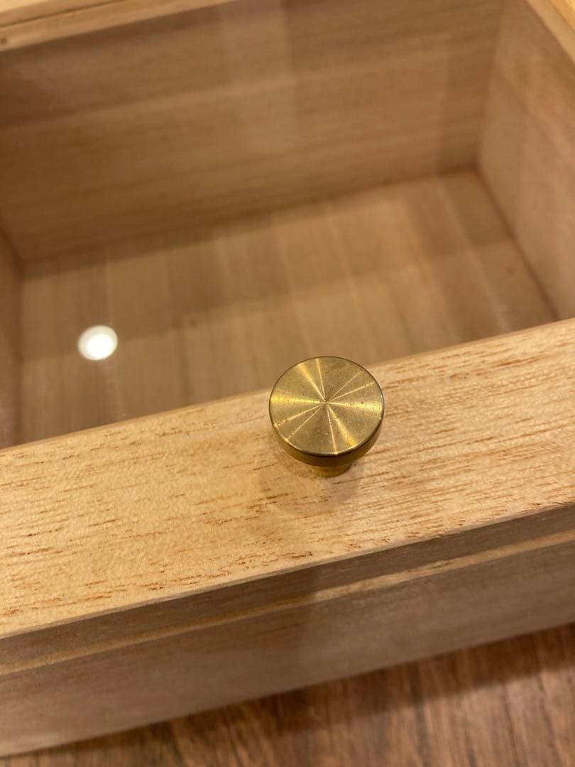 桐のショーケース