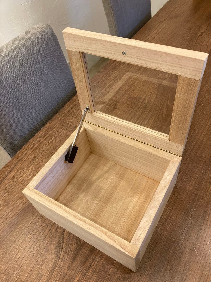 桐のショーケース