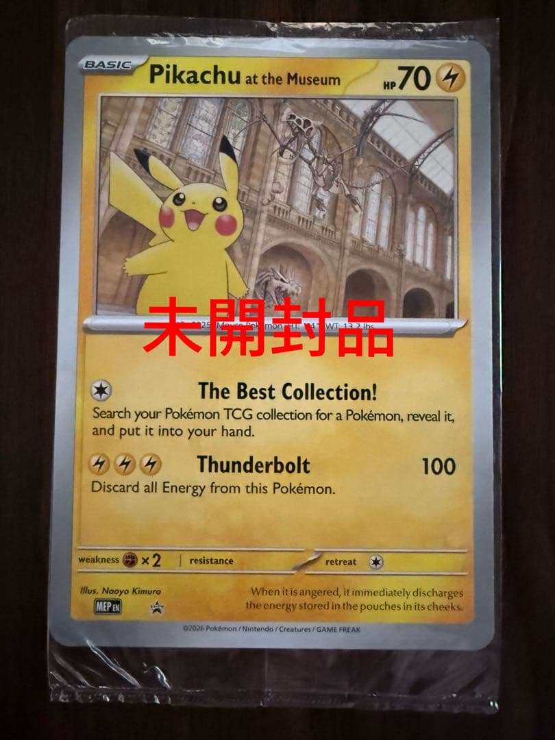 Pikachu at the Museum ピカチュウ ロンドン自然史博物館 - メルカリ
