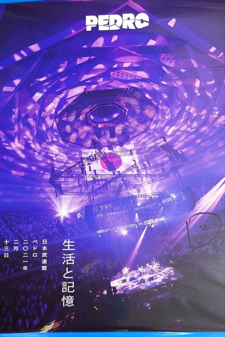 送込【BiSH/PEDRO/ExWHYZポスター17枚】 直筆サインB2ファイル - メルカリ