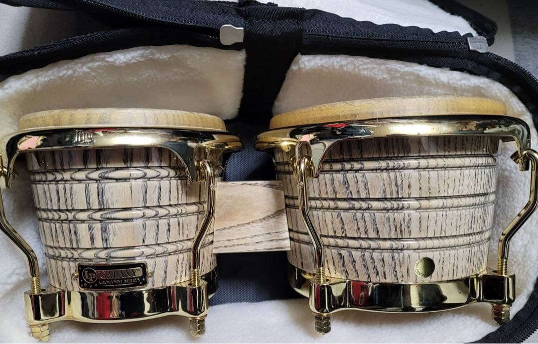 ジョバンニイダルゴ　シグネイチャーボンゴ　プロラケケース付き