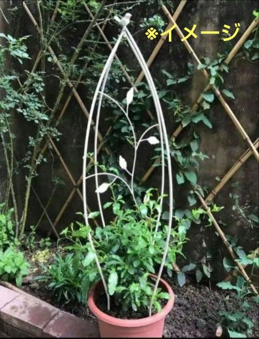 2個セット 白 ミニオベリスク トレリス 鳥 ガーデニング 支柱 バラ