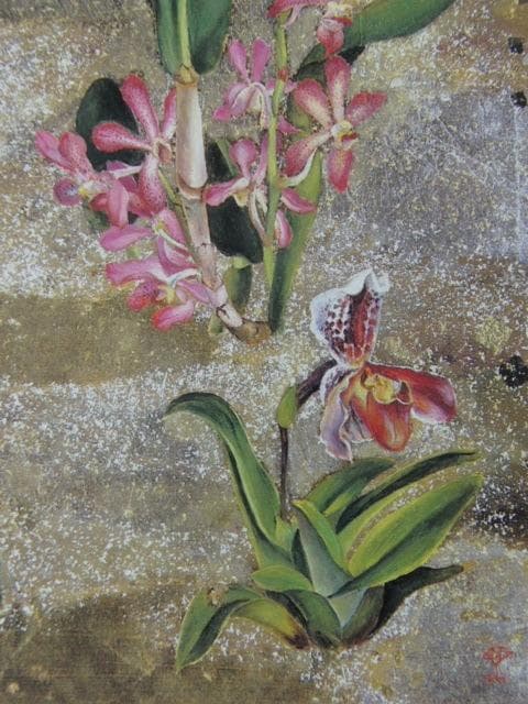 野田好子、【天上華】、希少な額装用画集より、新品額装付、状態良好