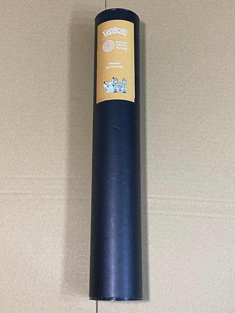 ポケモン ロンドン自然史博物館 ピカチュウA3 ポスター　B