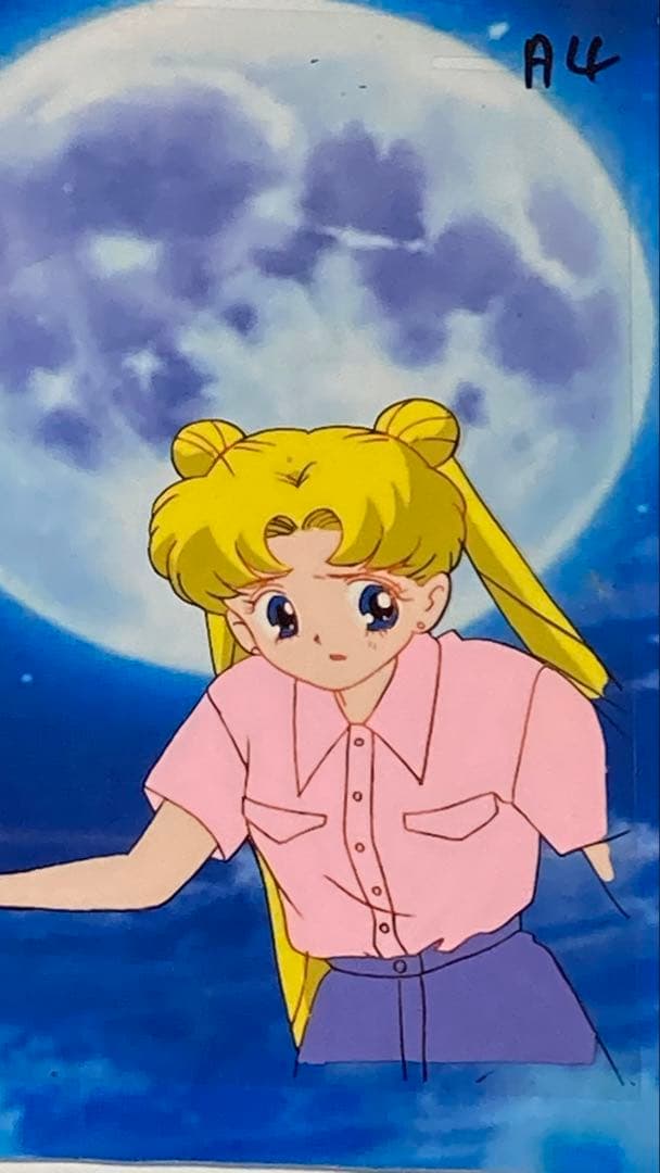 d３８　美少女戦士セーラームーンセル画【月のうさぎ】背景・動画付き