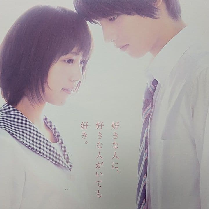 ストロボエッジ 福士蒼汰 有村架純 映画 パンプ パンフレット フリー