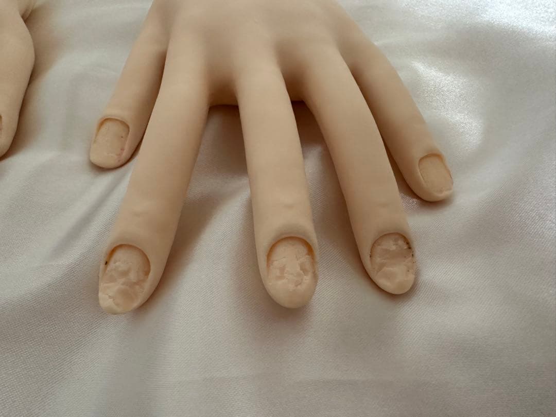 JENC認定モデルハンド　チップなど付属品あり