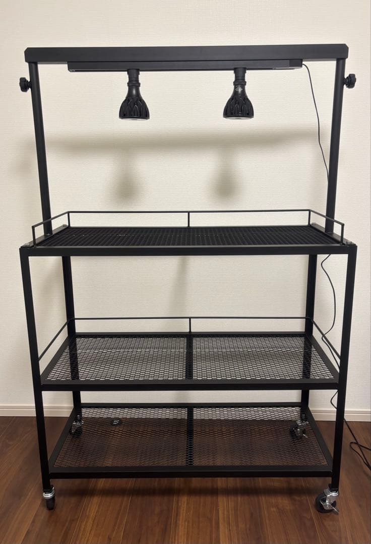 アイアンラック　アイアンシェルフ　3段　植物棚　ライティングスタンド　アガベ