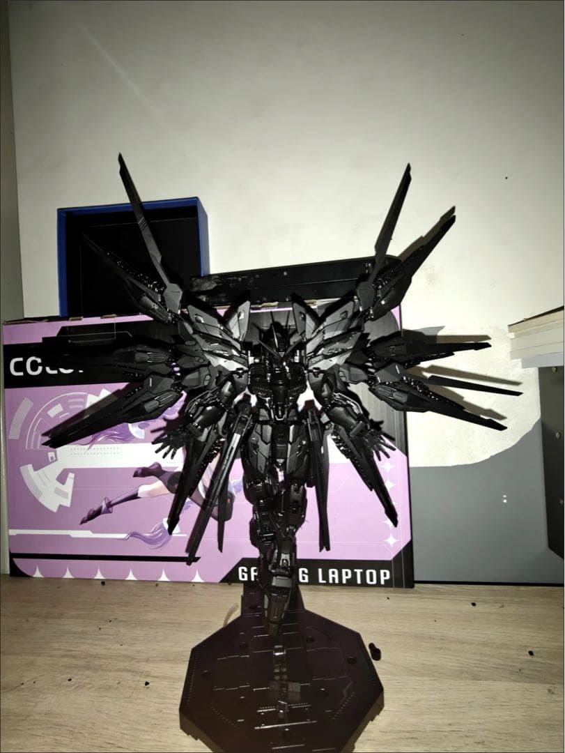 A*A様 1/100 ストライクフリーダム　ミッドナイトコーティング　海外製プラ